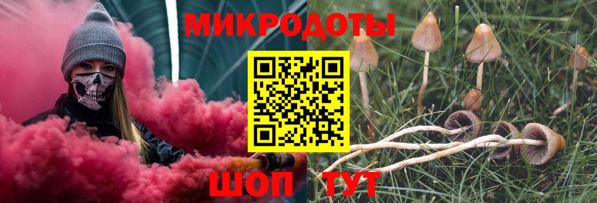 Псилоцибиновые грибы MAGIC MUSHROOMS Курчалой